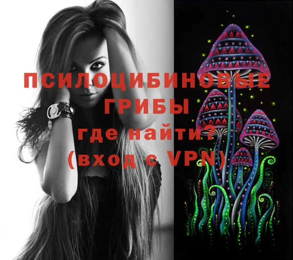 круглые Алексеевка