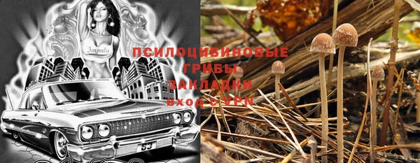 круглые Алексеевка