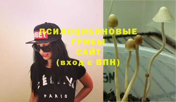 дмт Алзамай