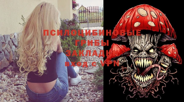 PSILOCYBIN Алексин