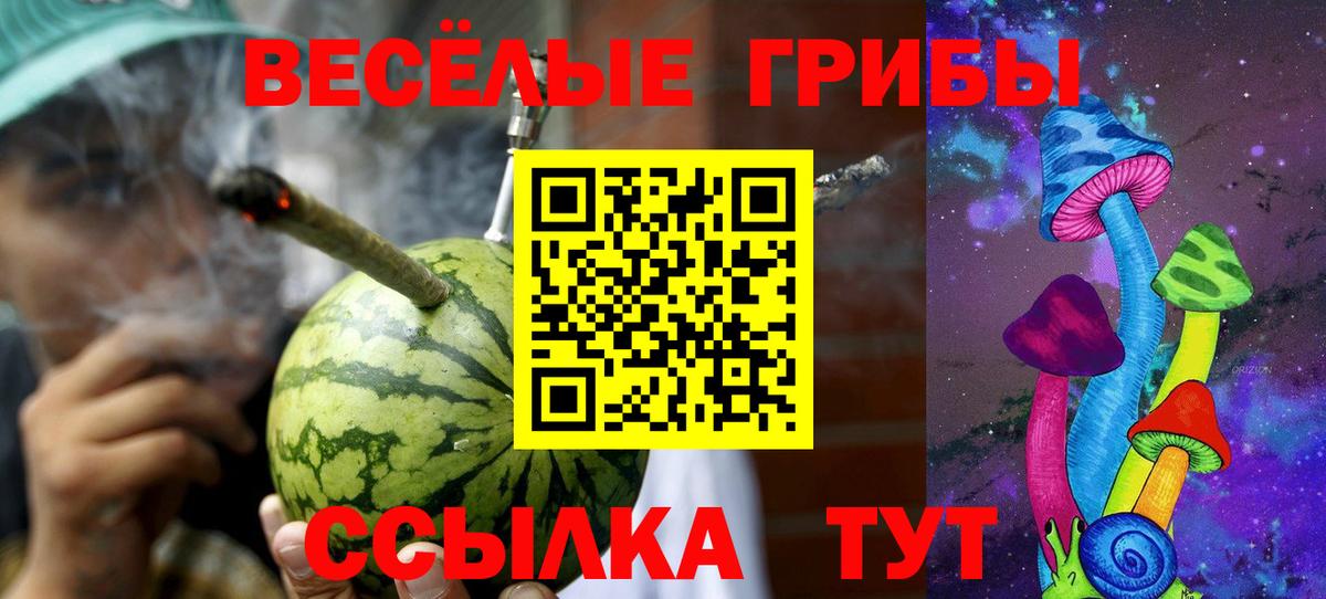 Шадринск  Галлюциногенные грибы мицелий  Вход с VPN 