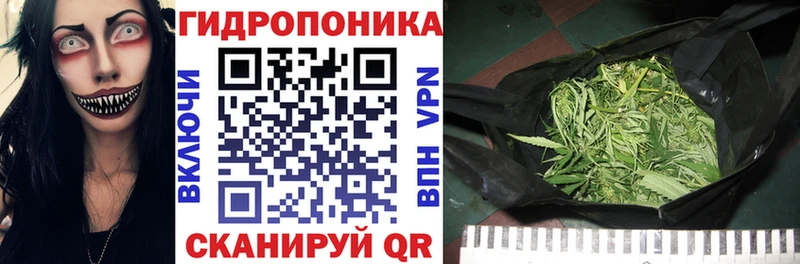 закладка  blacksprut как войти  Канабис MAZAR  Шадринск 